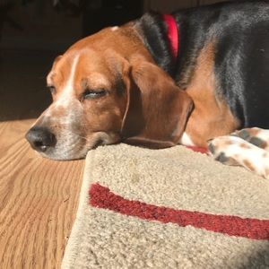 Meet your Posher, Olivia